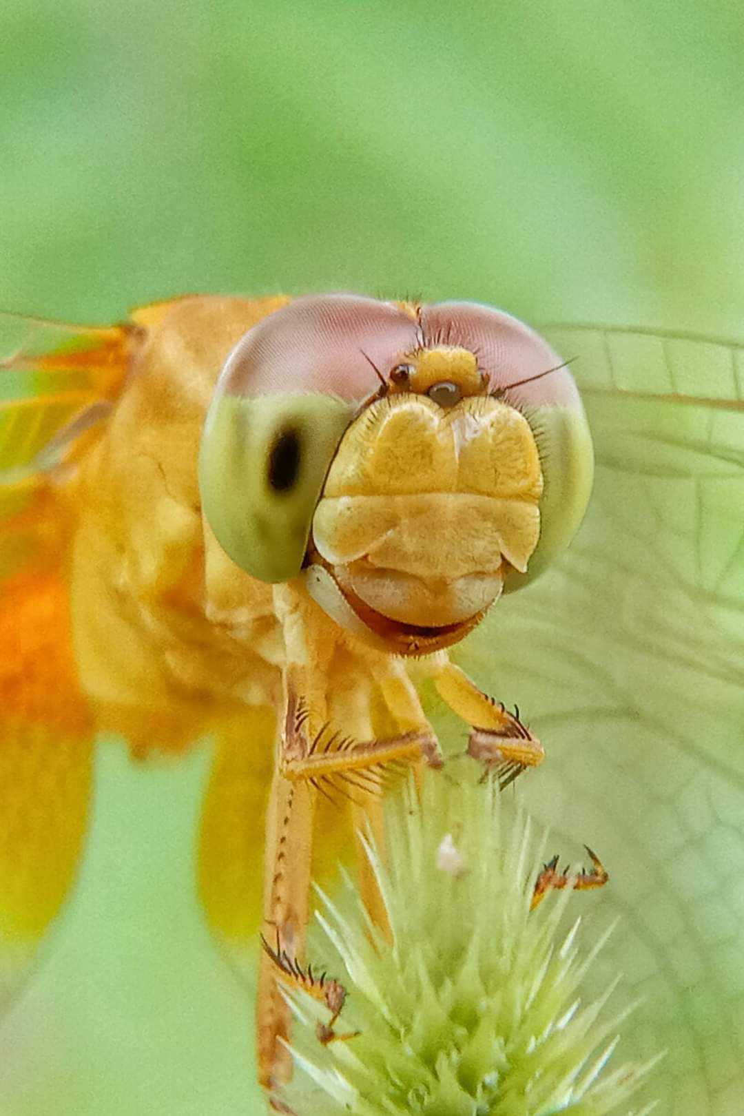 Look at me
