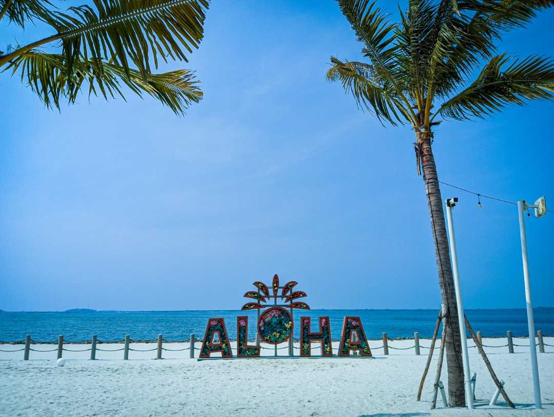 Aloha
