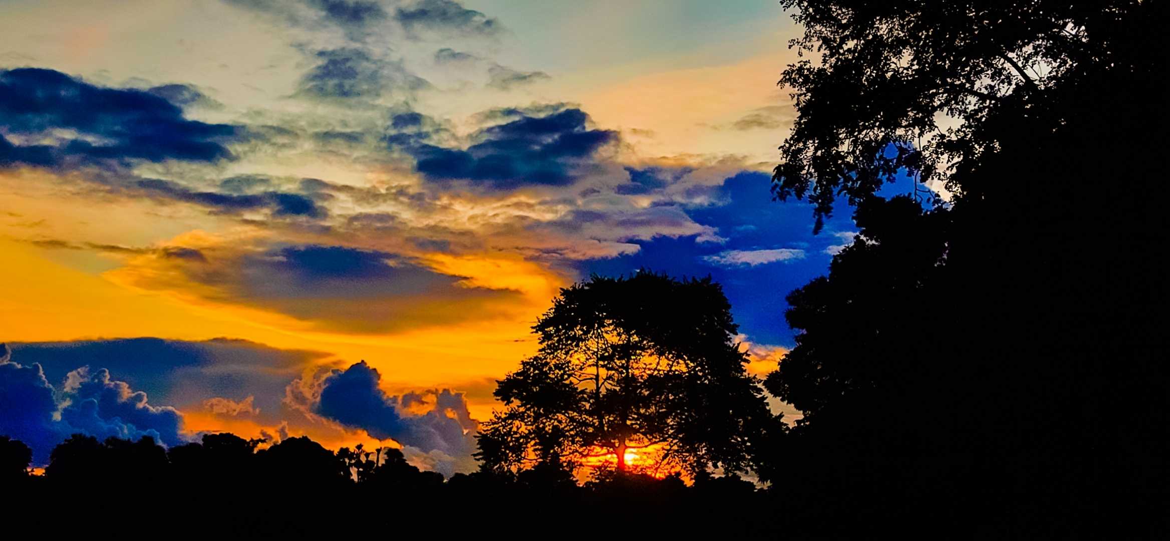 Nature photography