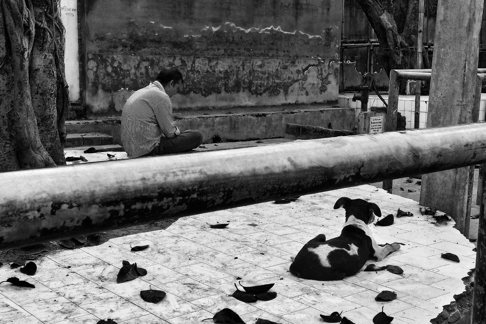 Monochrome