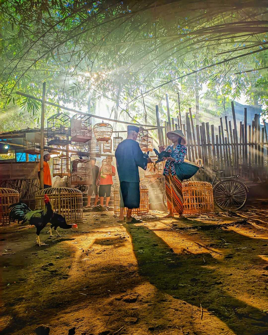 Foto konsep suasana pedesaan