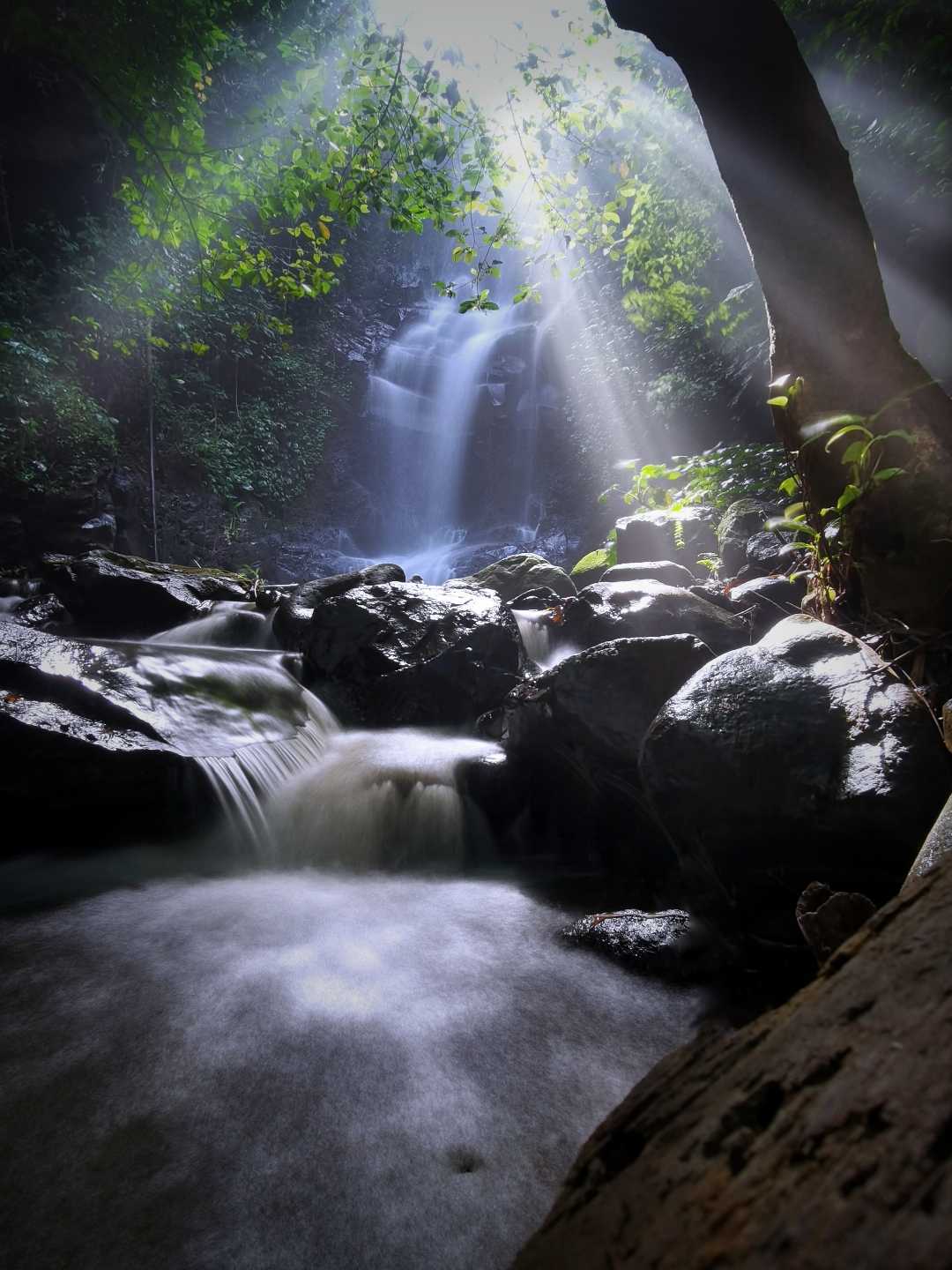 ray of light