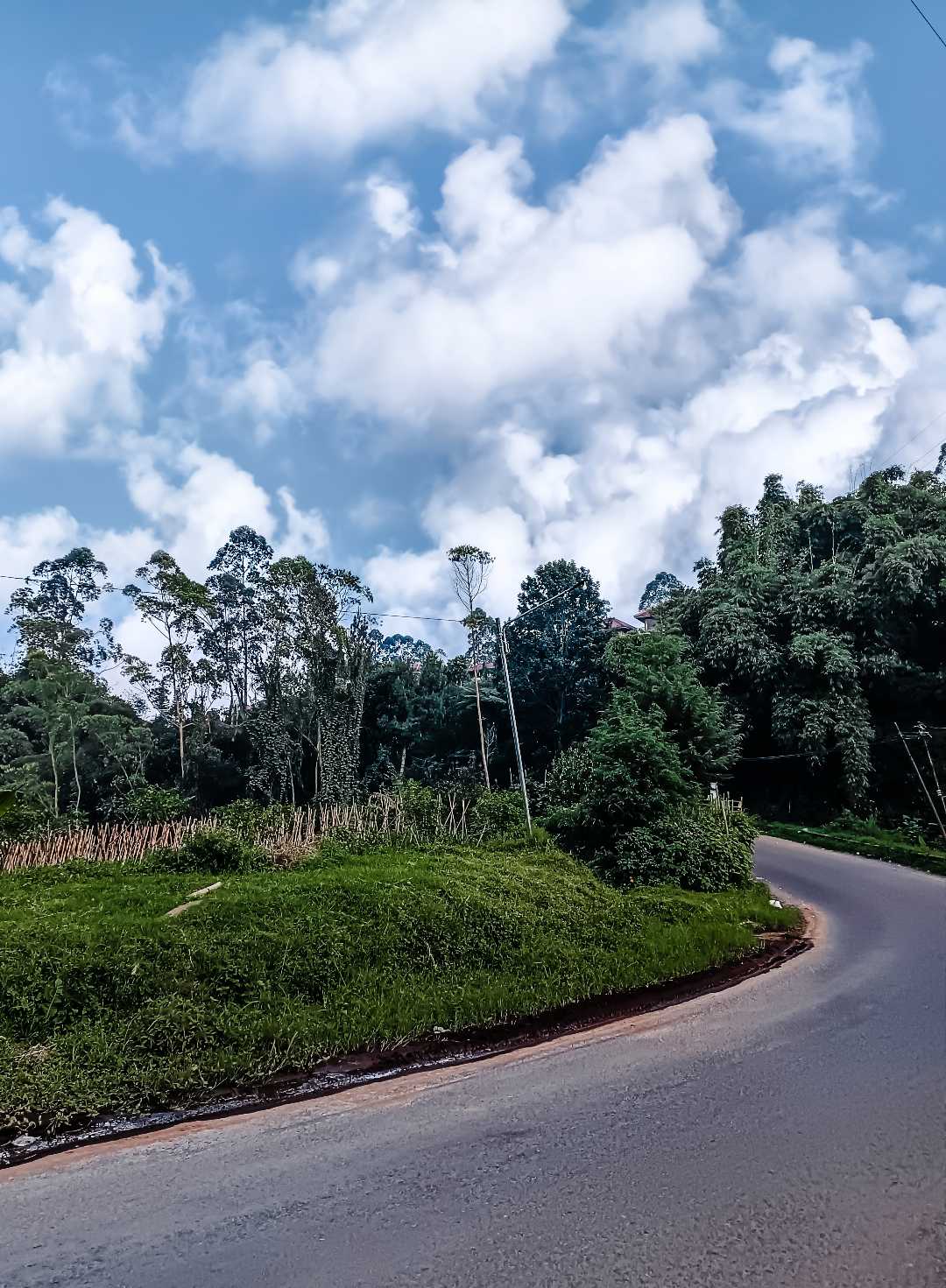 tikungan jalan desa
