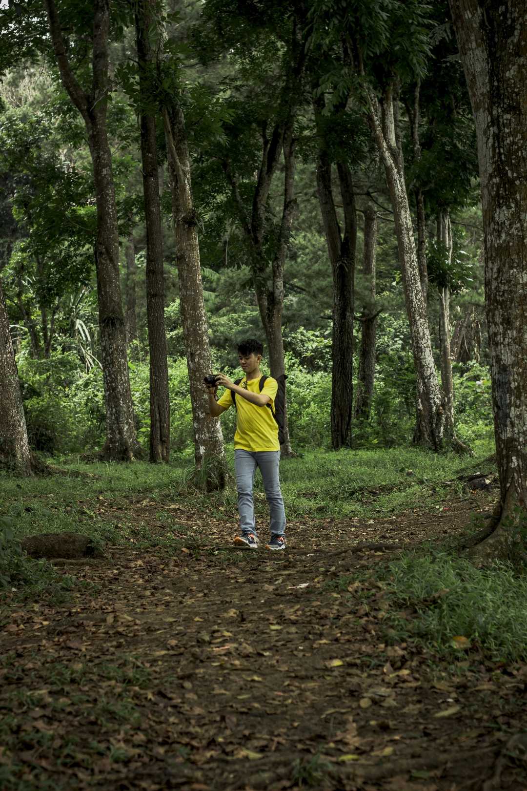 Pergi ke Hutan