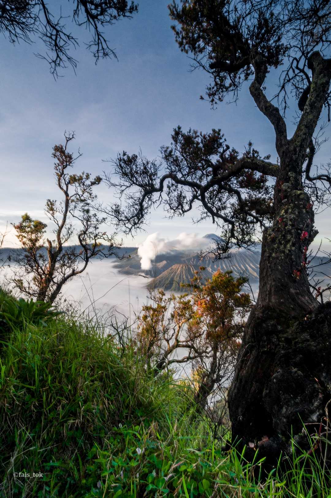 gunung bromo