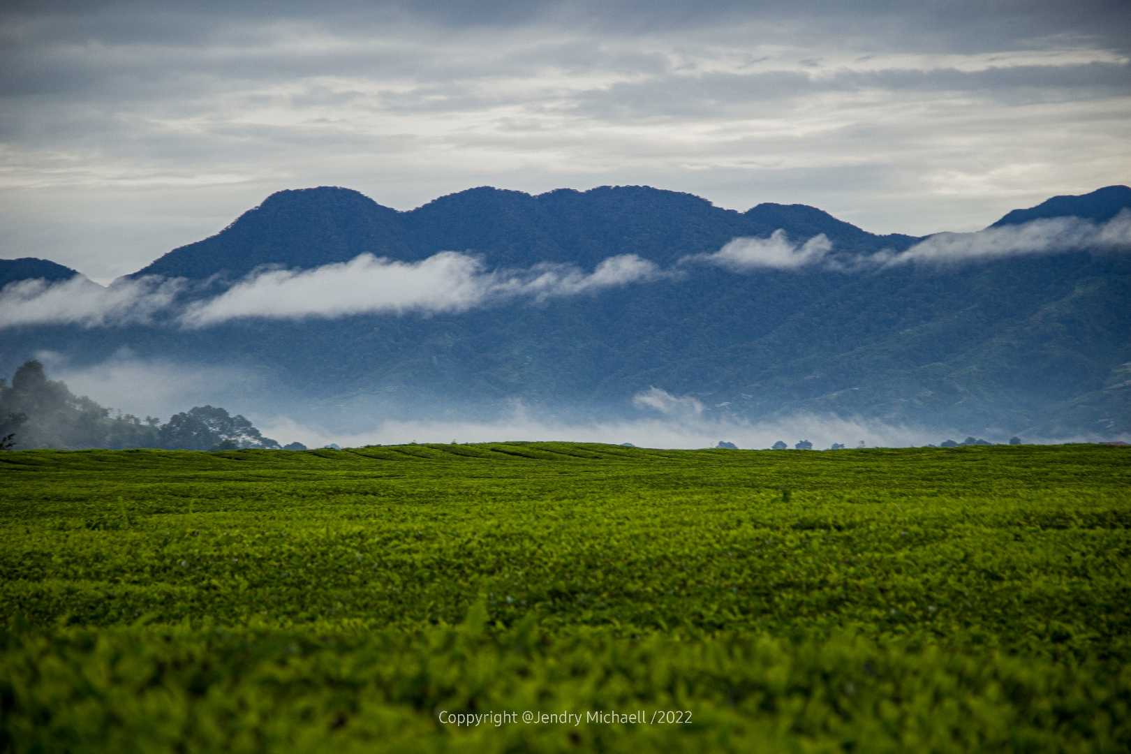 Menikmati Dinginnya pagi
