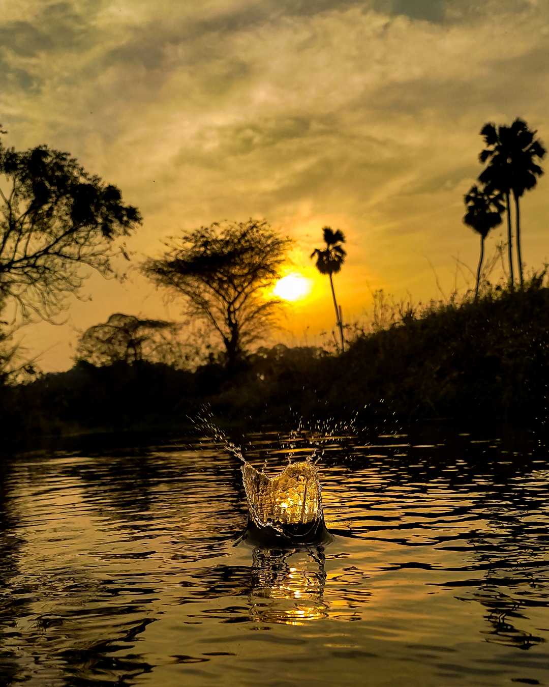 the Moment capture