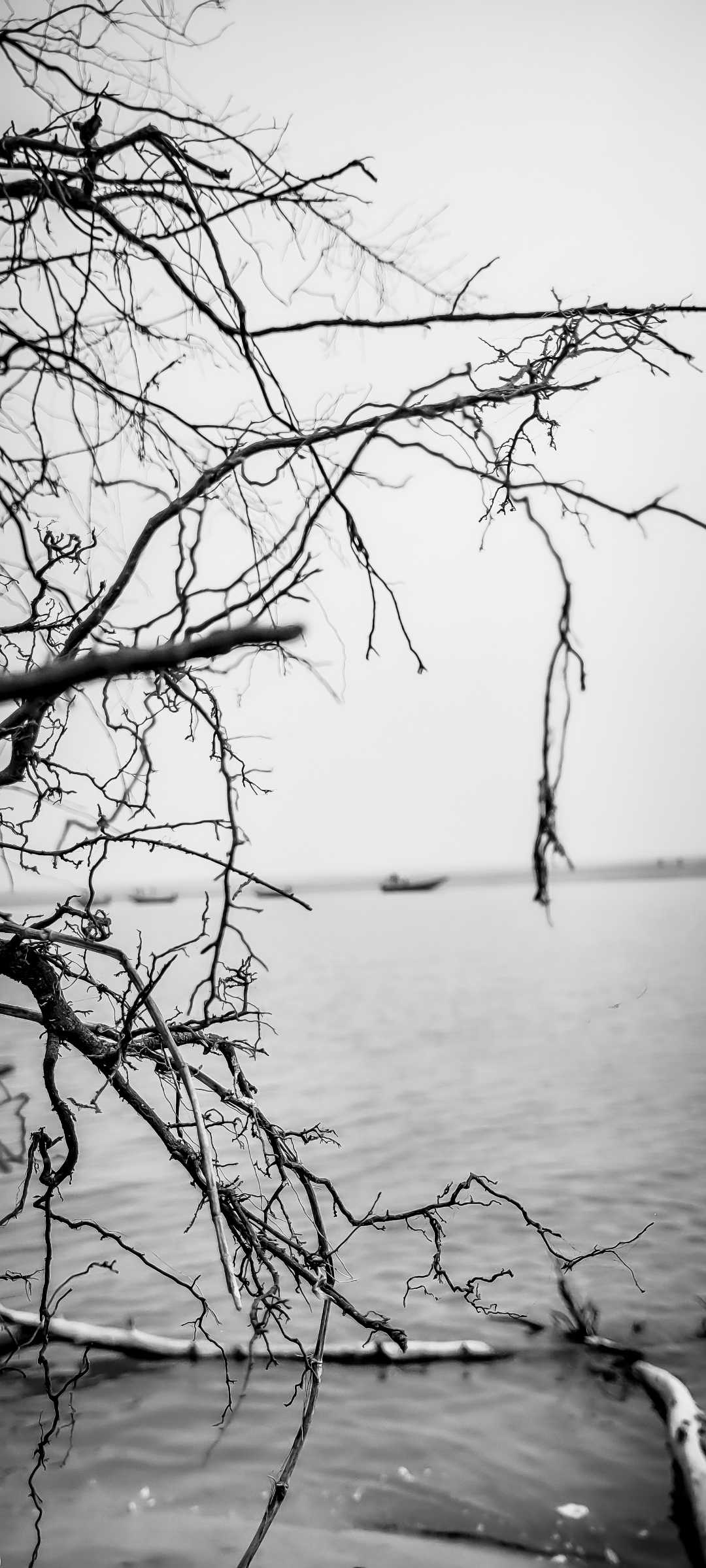 In the mood for the ocean 