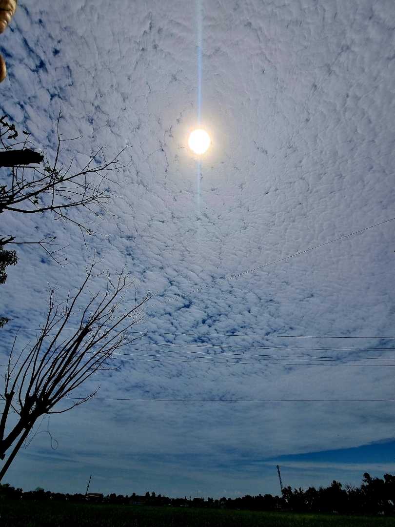 Altocumulus clouds