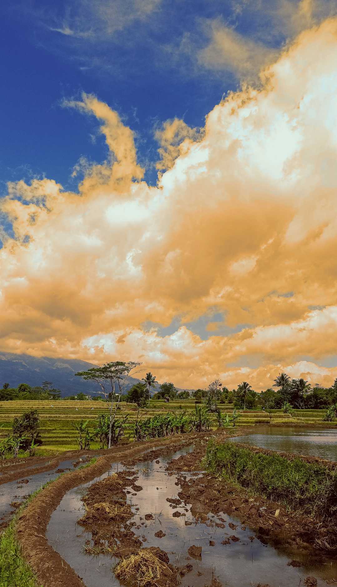 senja mendung