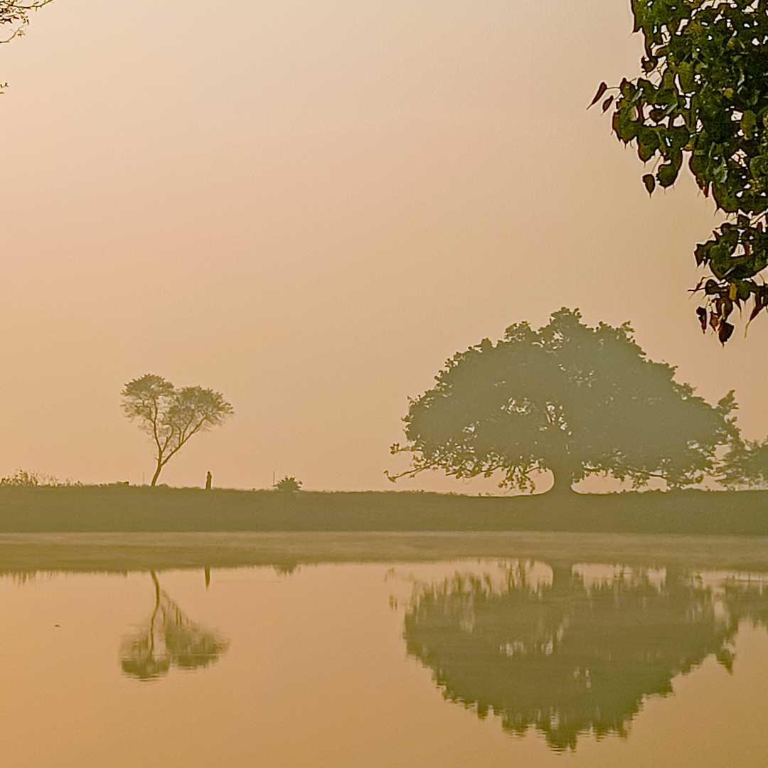 Morning Mist