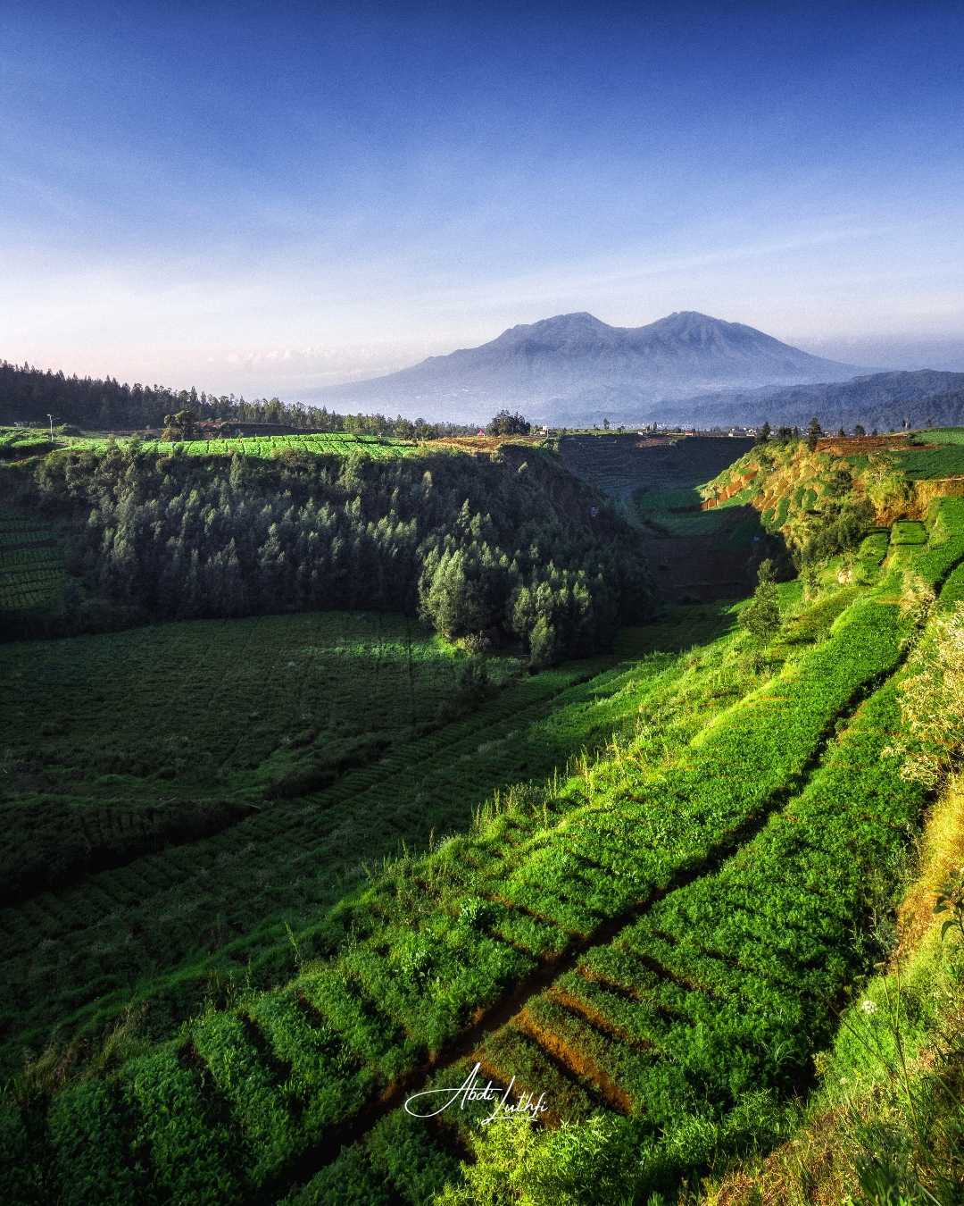 Hamparan Hijau di Brakseng