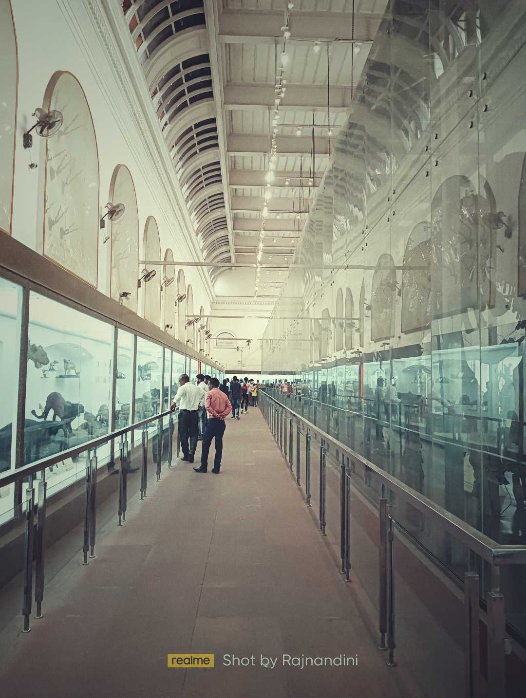 The Indian Museum 