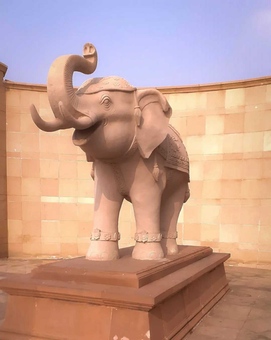 Baby elephant