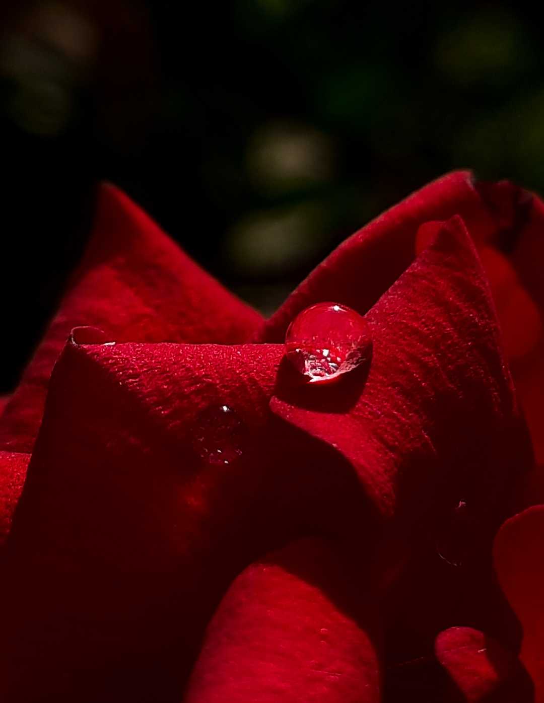 mobile photography 