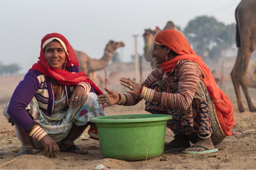 pushkar 4/9