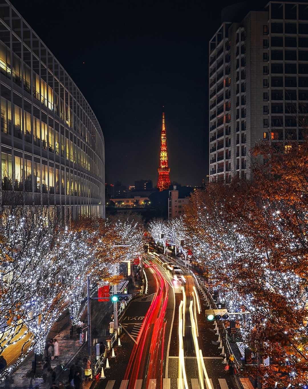 tokyo illumination
