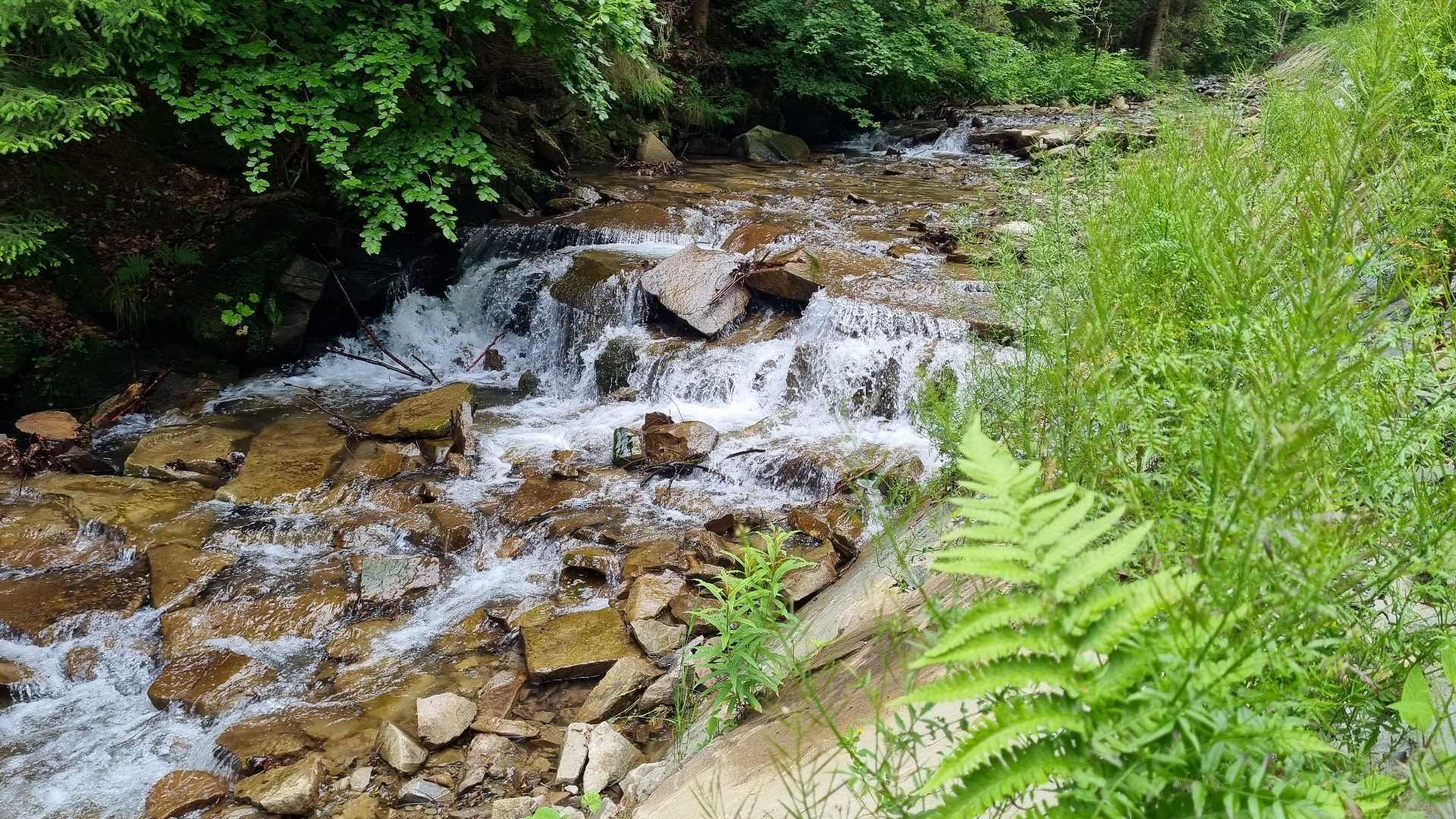 W drodze 🚶⛰️🚶