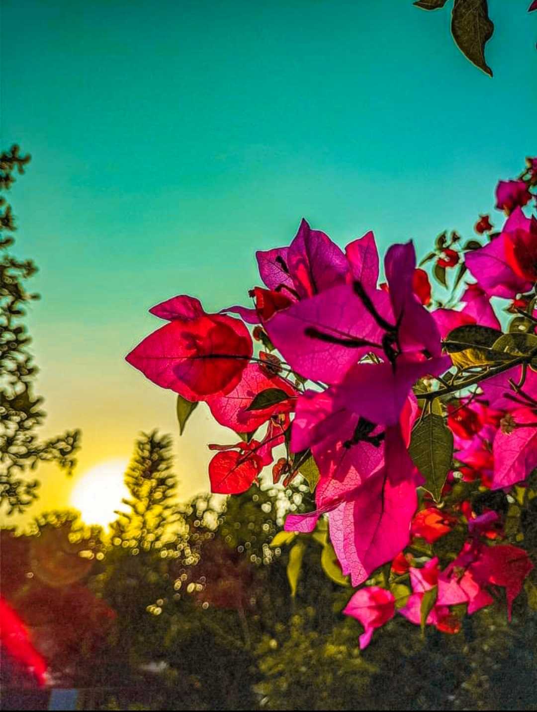 Happiness and nature are closely related. 🌼