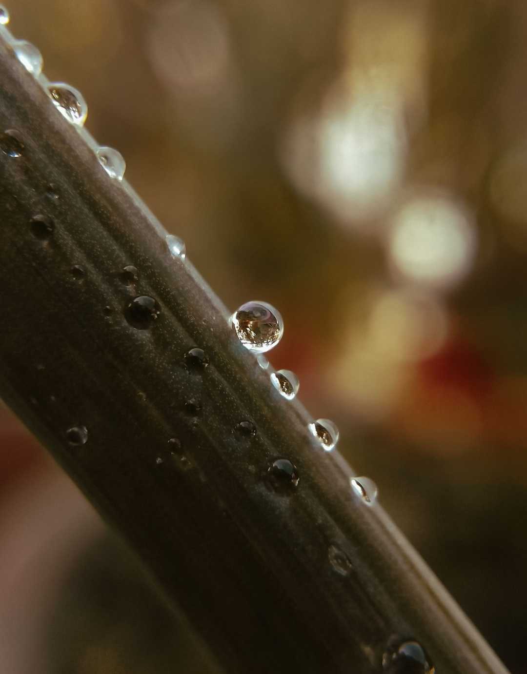Those waterdrops 💙