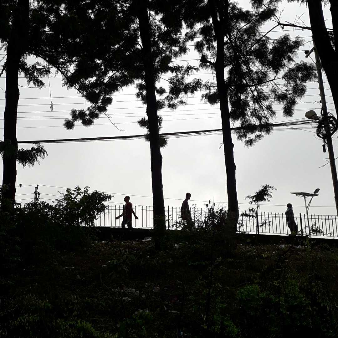 morning life