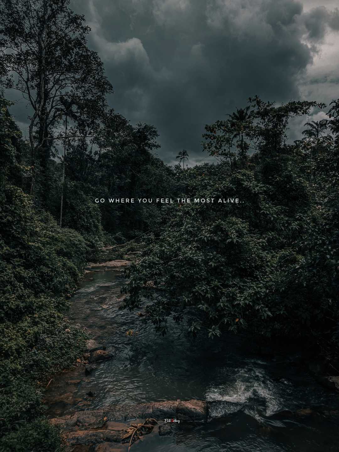 Aruvikuzhy Waterfalls