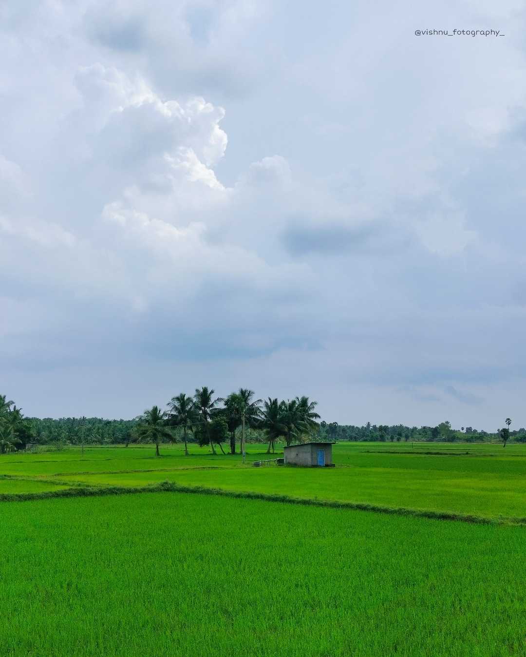 nature view 💚