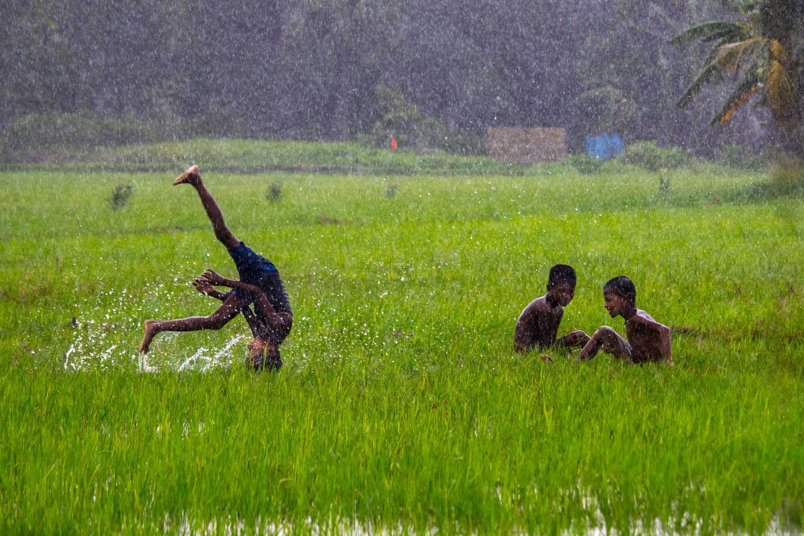 Boys, enjoying the heavy monsoon rain.