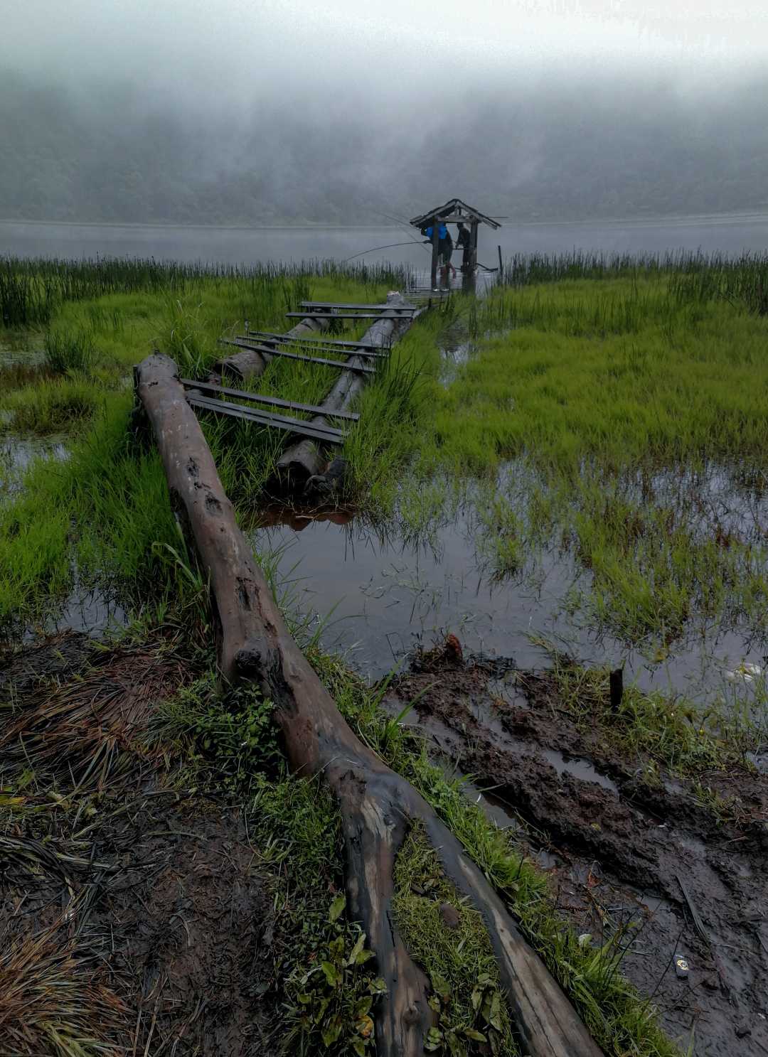 Danau Taman Hidup Pegunungan ARGOPURO 