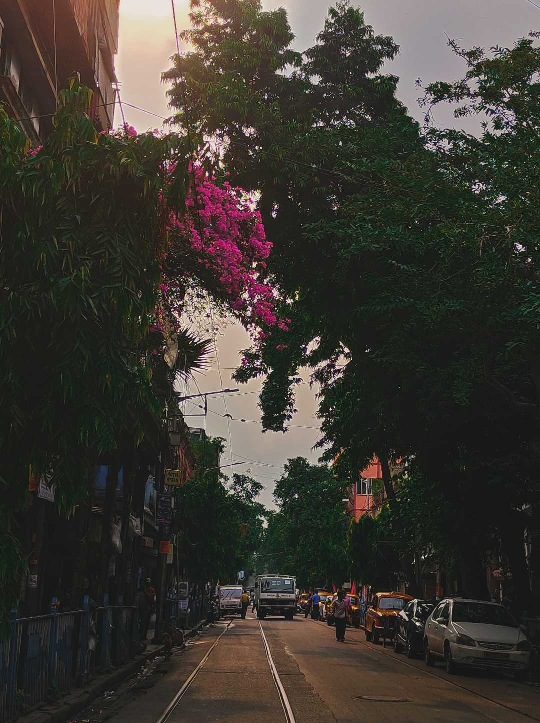 Street of Kolkata 🌼✨