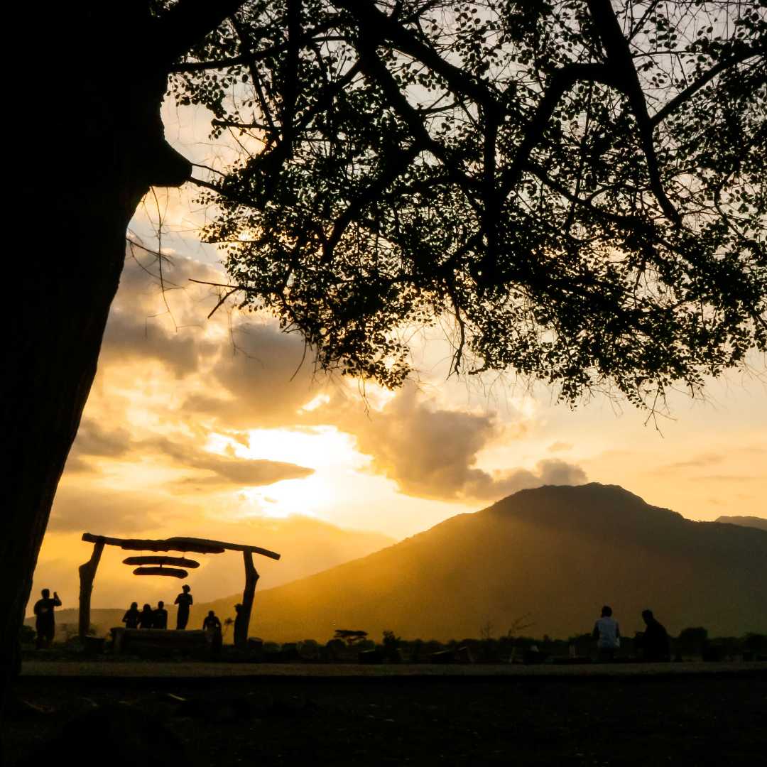 Senja Savana Bekol Baluran