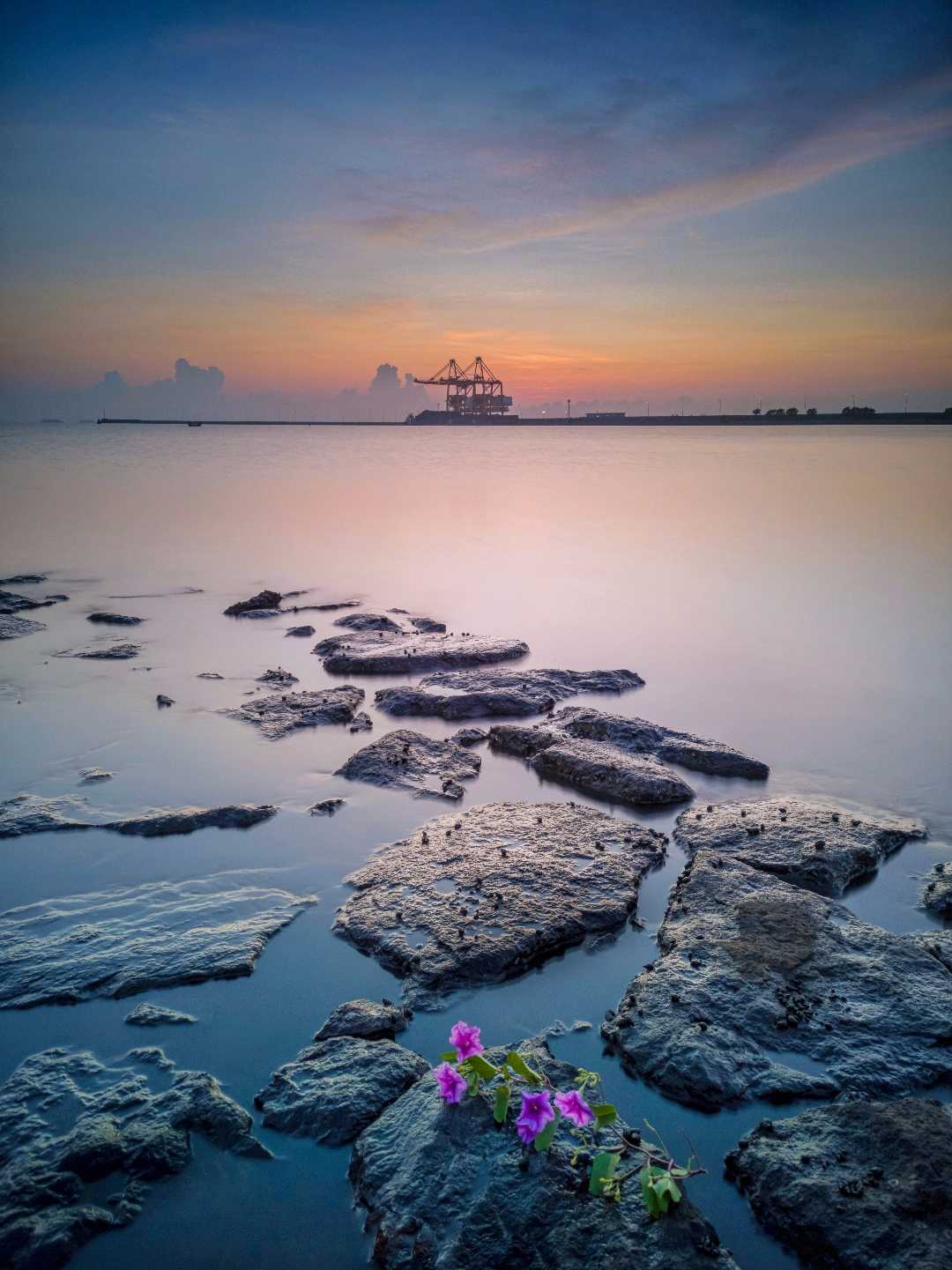 Pantai PLTU tanjung awar-awar 