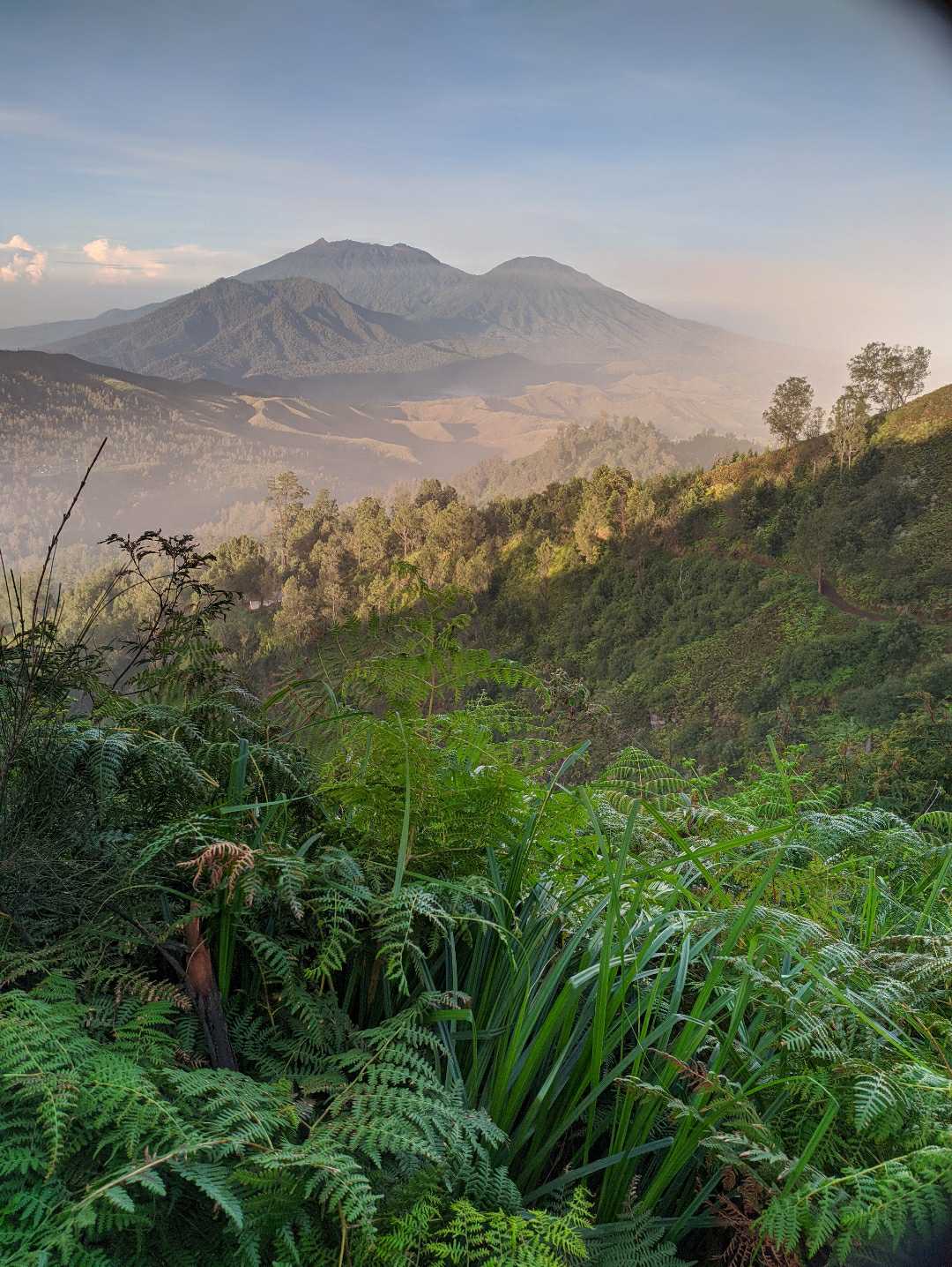 Mount Raung and Suket