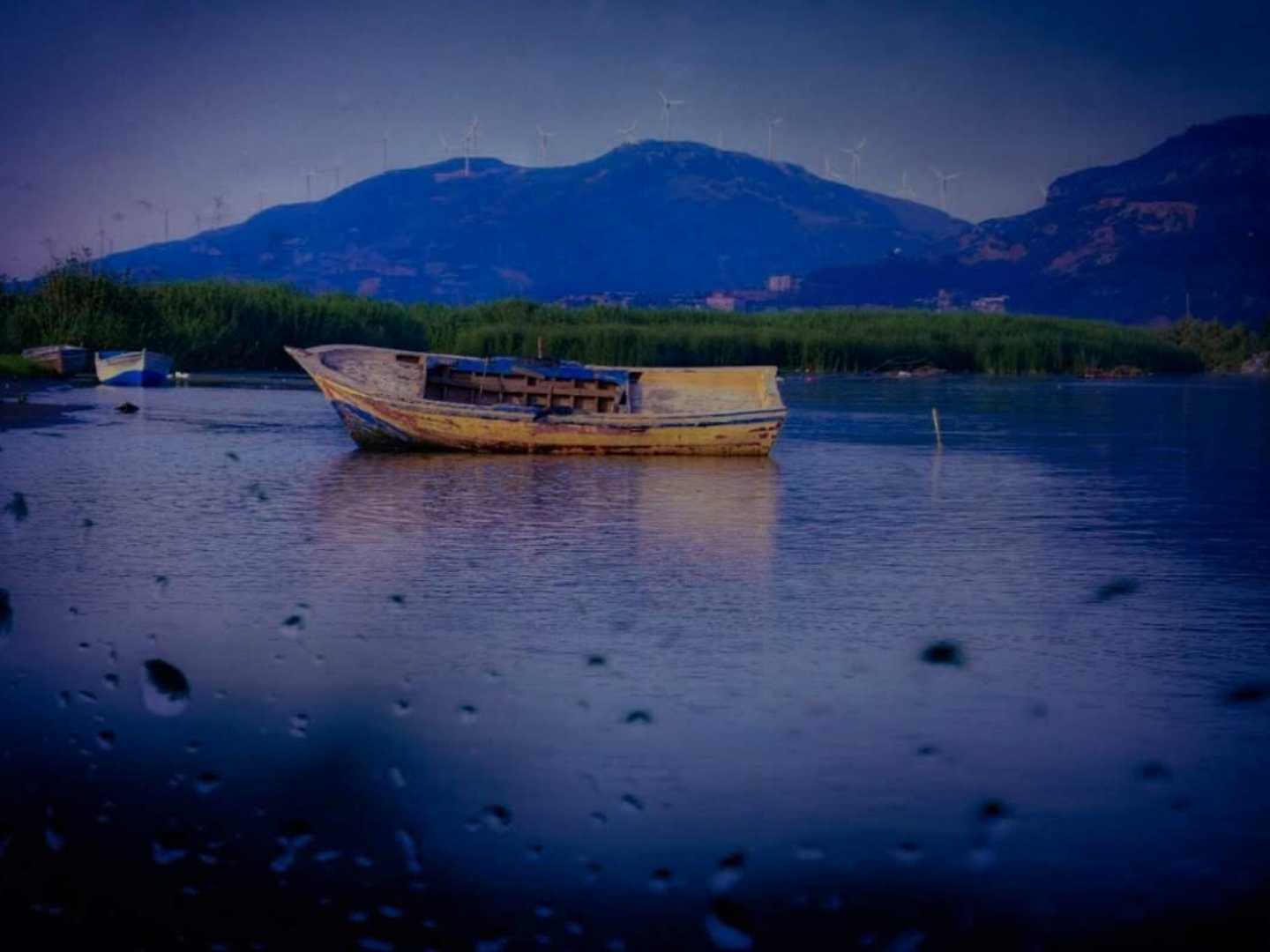 Asi Nehri 
