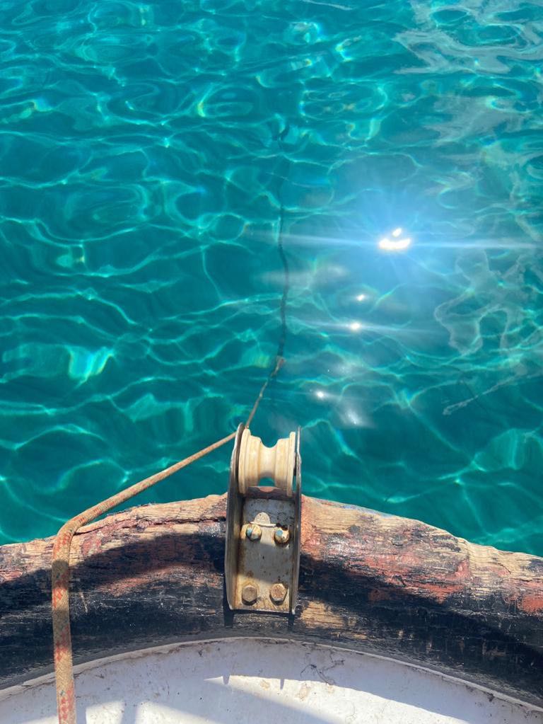 #Nature “Live in the sunshine, swim the sea, drink the wild air.” R.W.E. 💙🤍💚