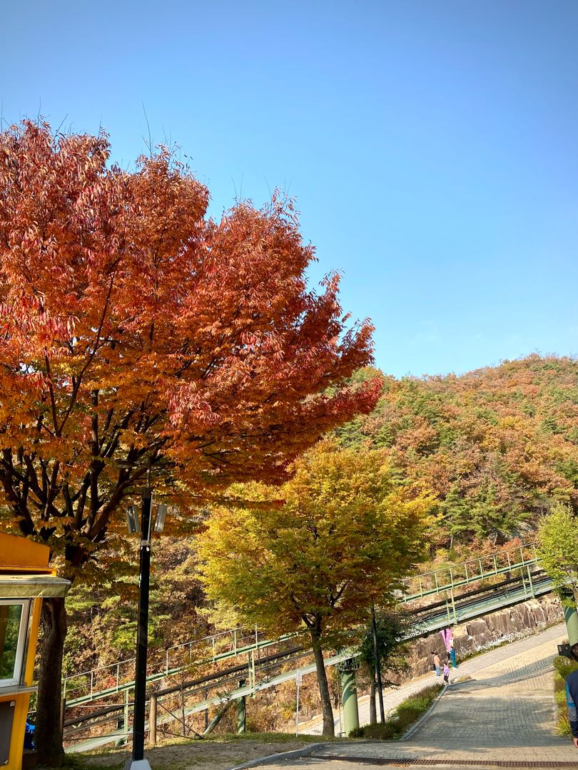 포천아트밸리
