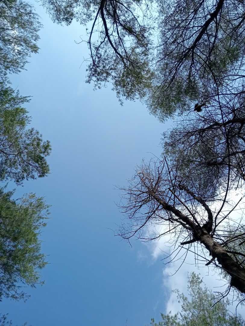 Langit Biru