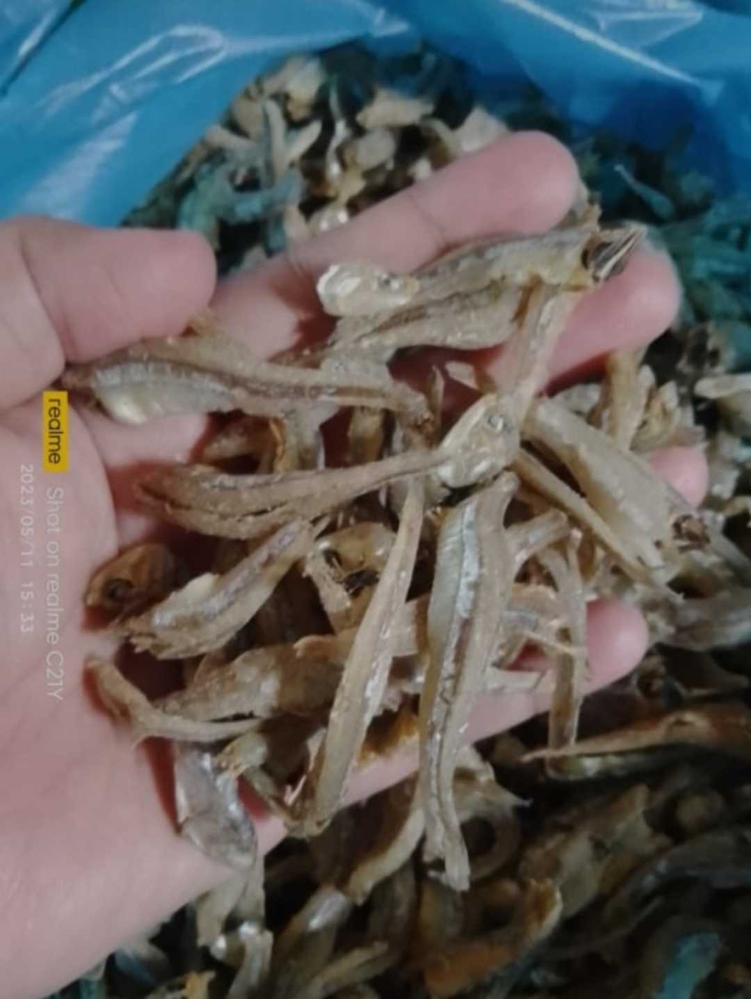 ikan bilis/ikan teri