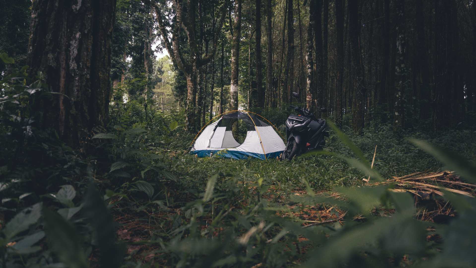 sriwulung