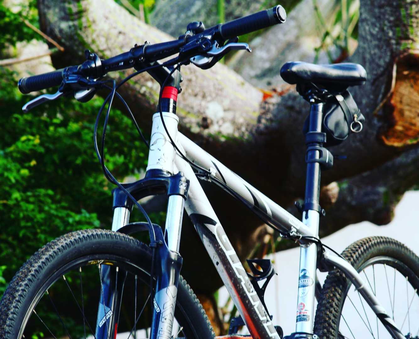 Greicy the best🚲
