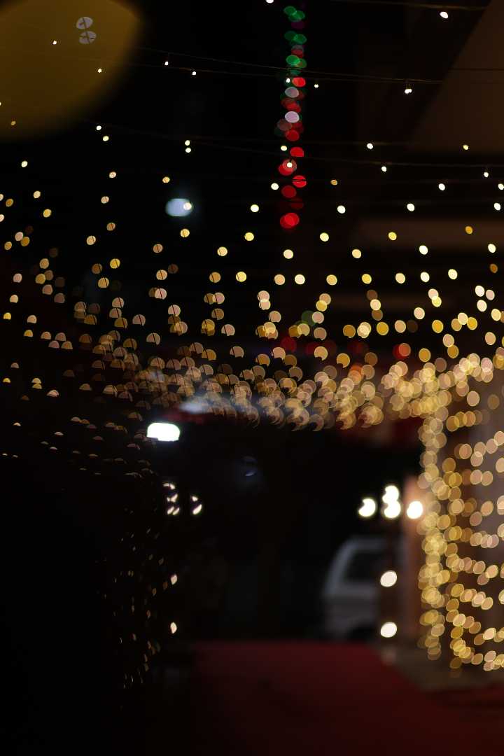 Bokeh Shot 