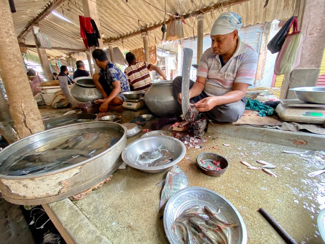 A Fish Seller