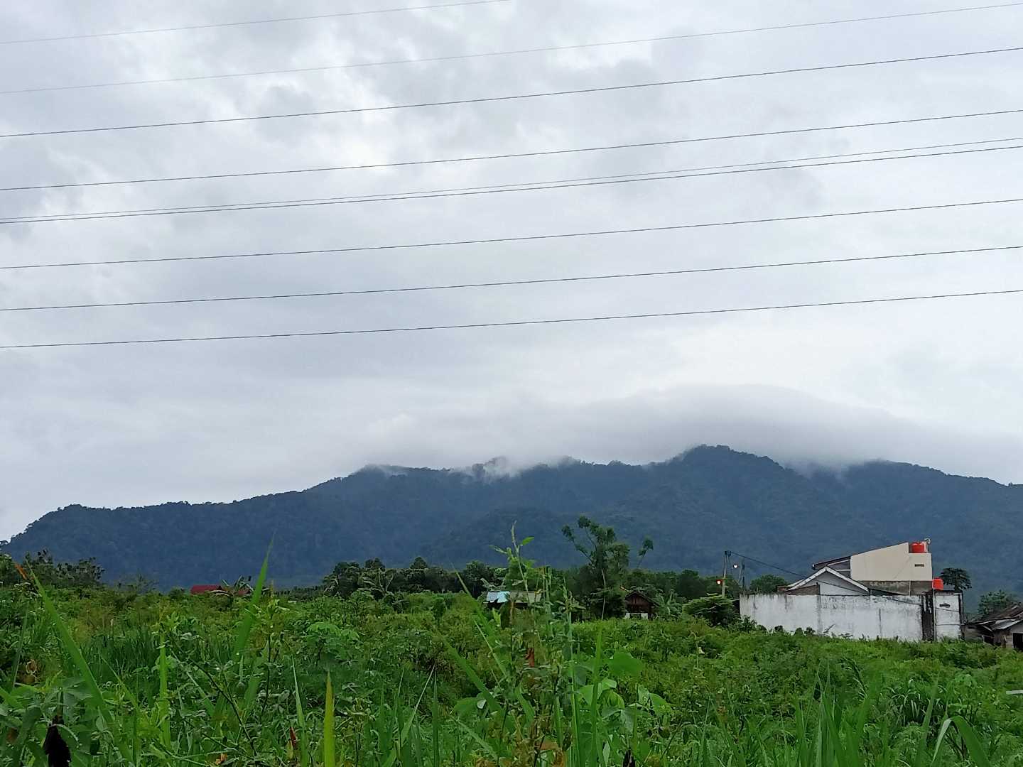 Pagi di Sini