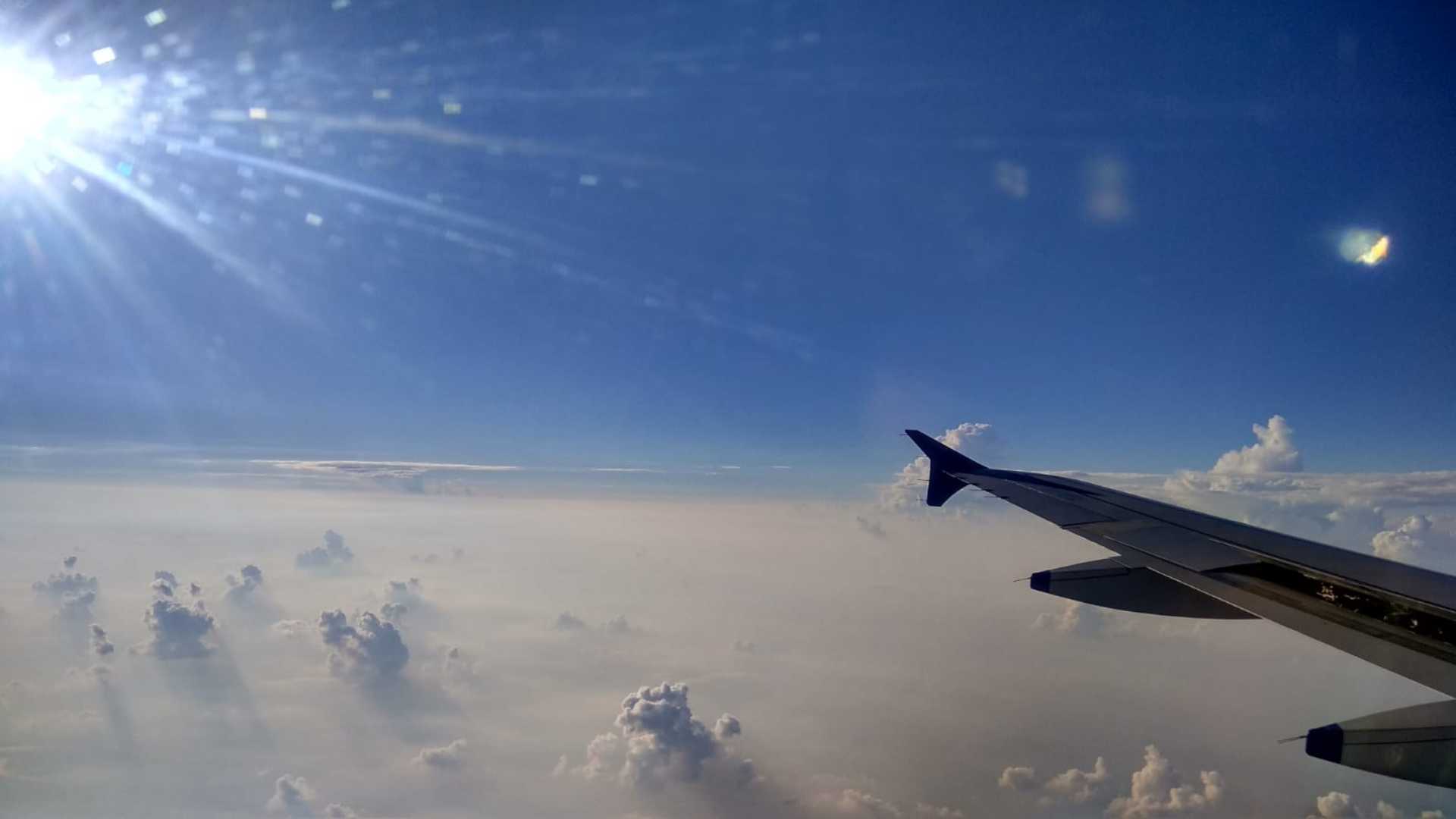 fly high 
