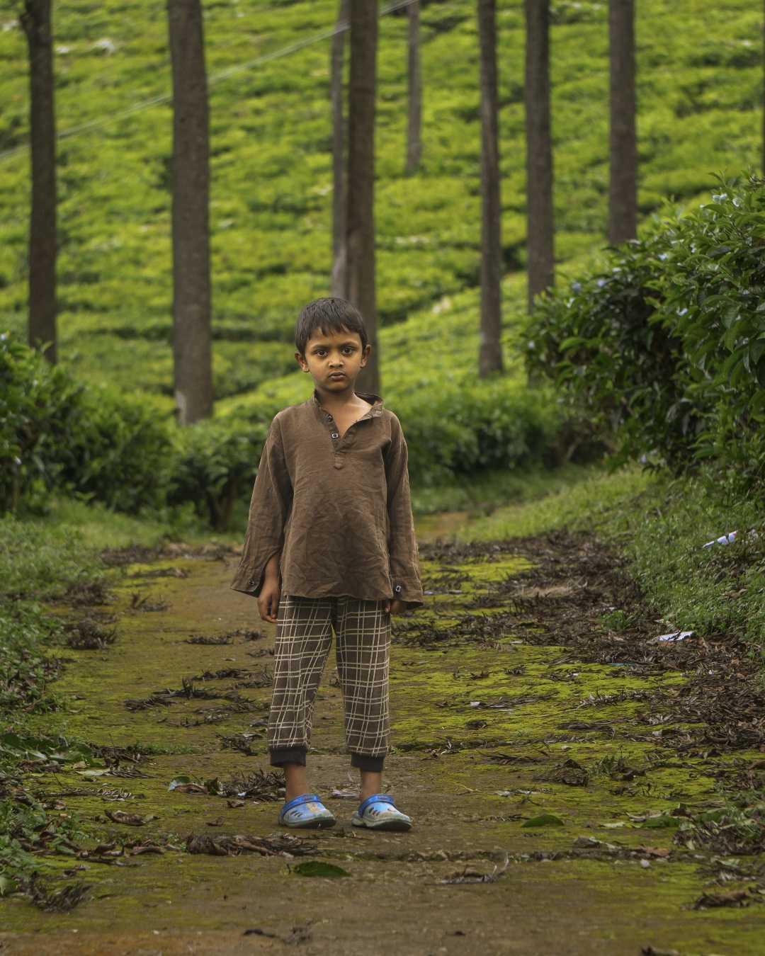 The little one in a tea garden.