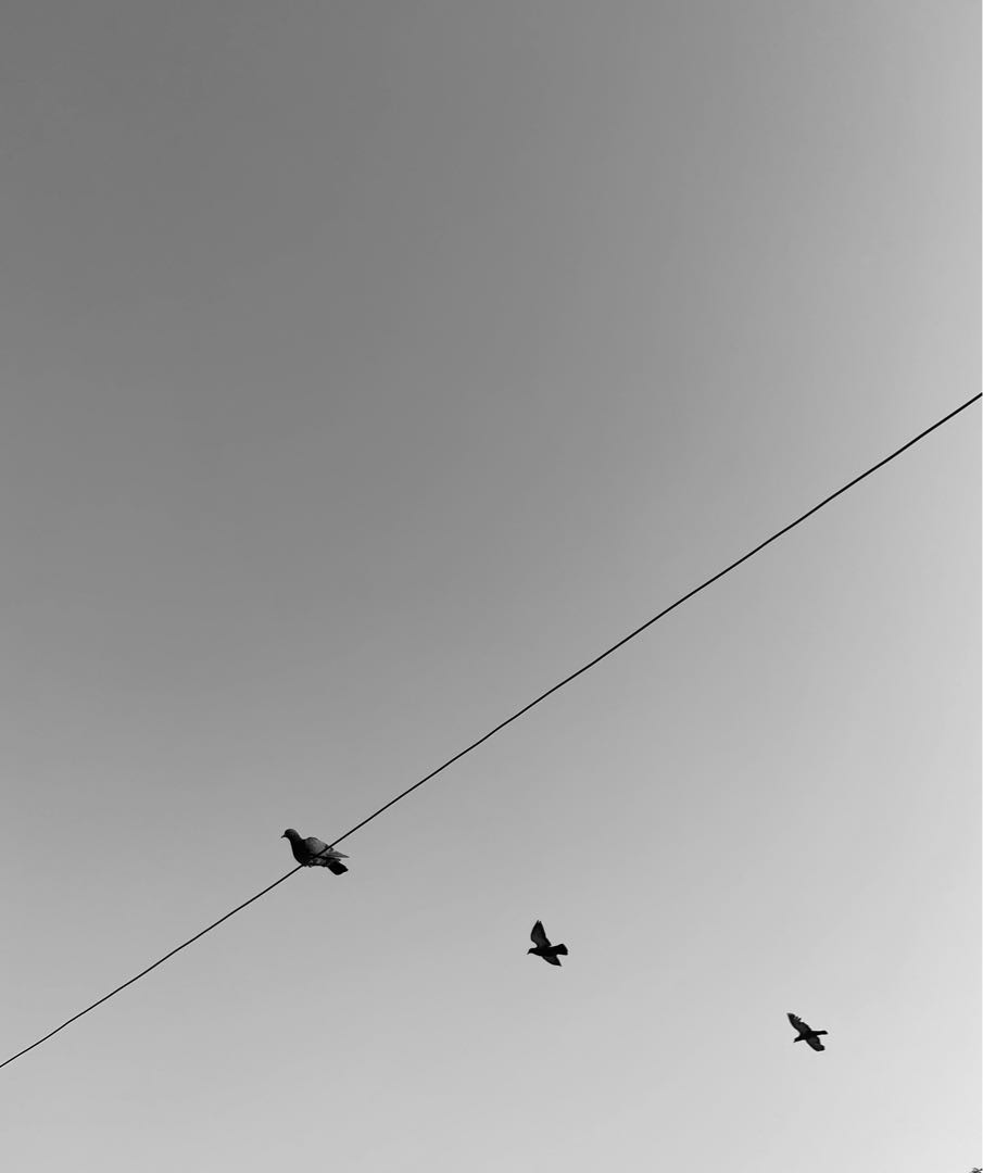 wherever you go, I will follow. 