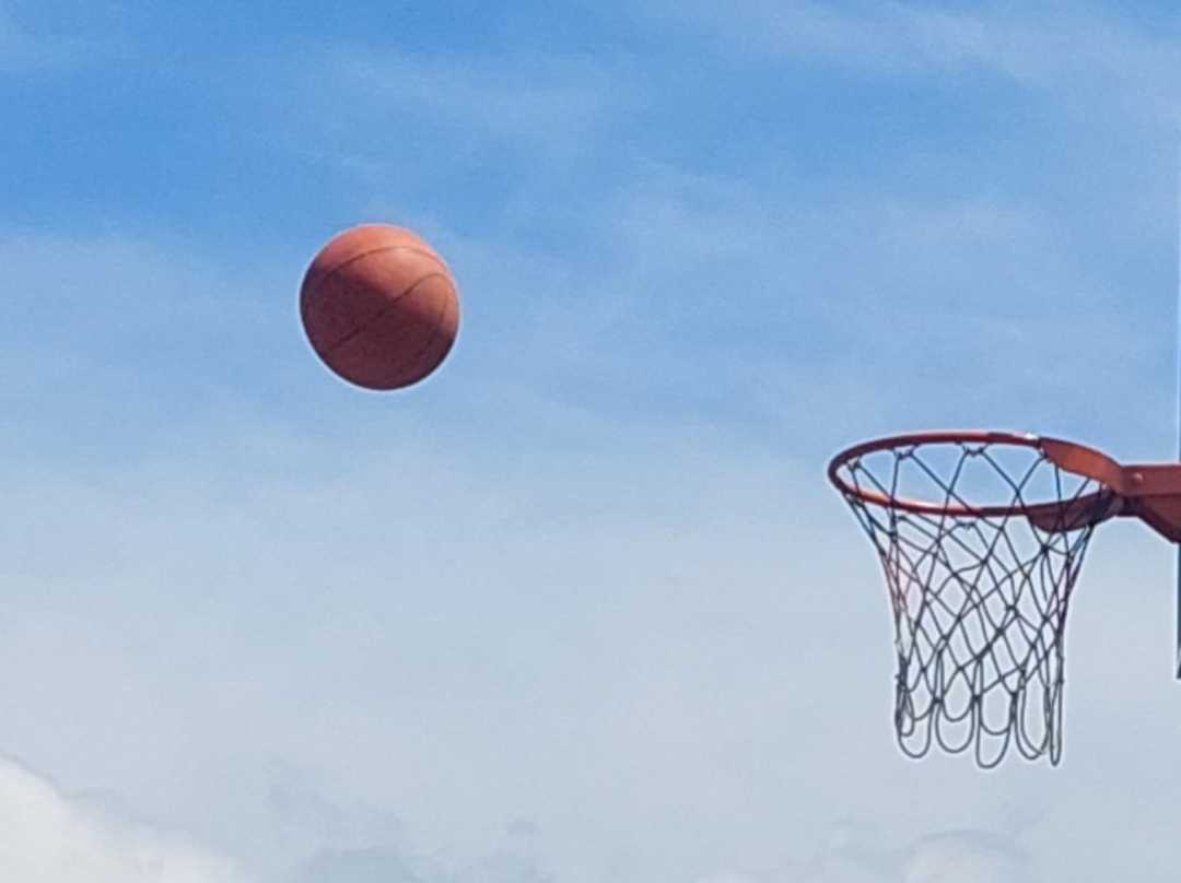 Bola Basket