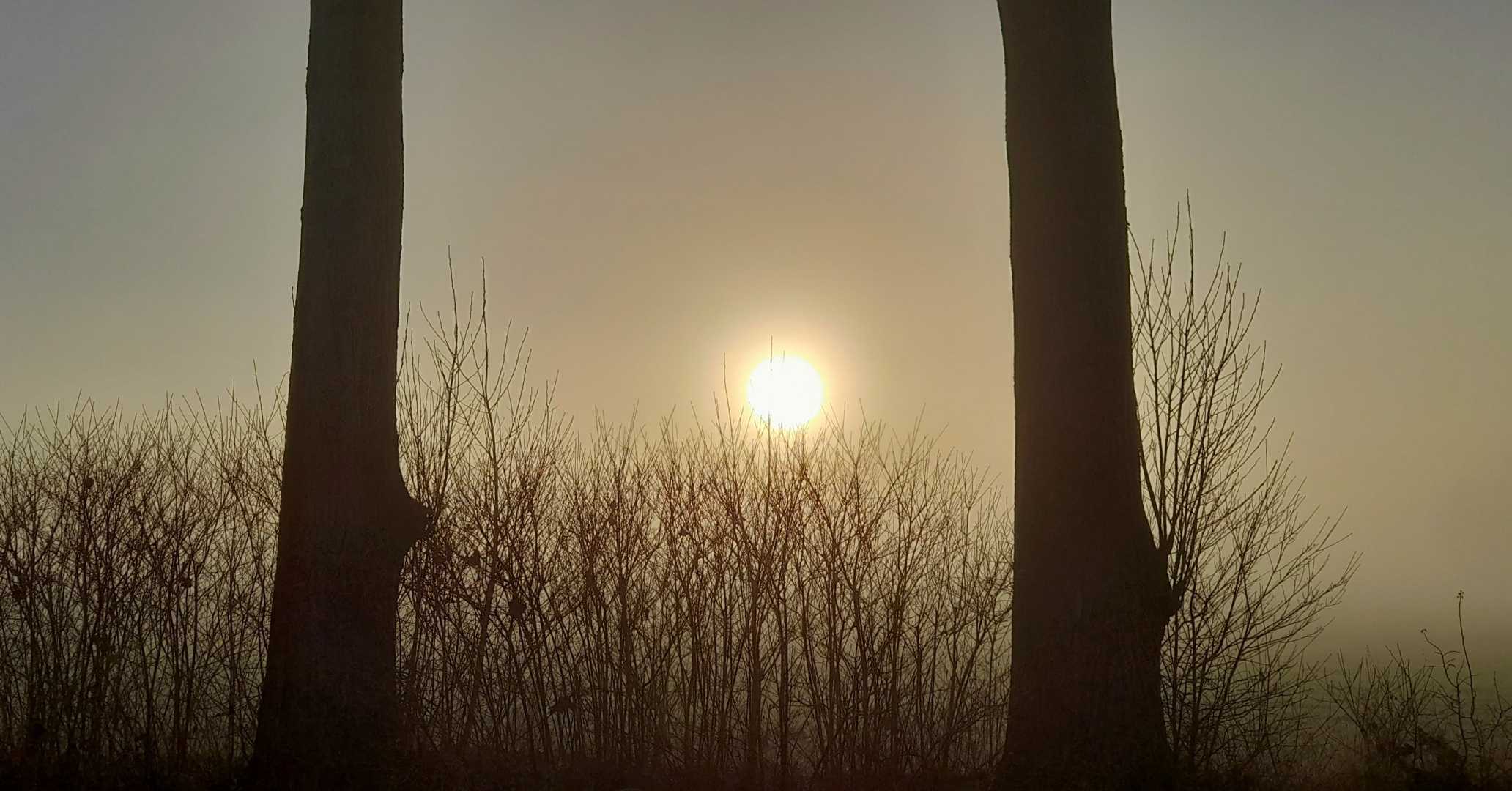 morning