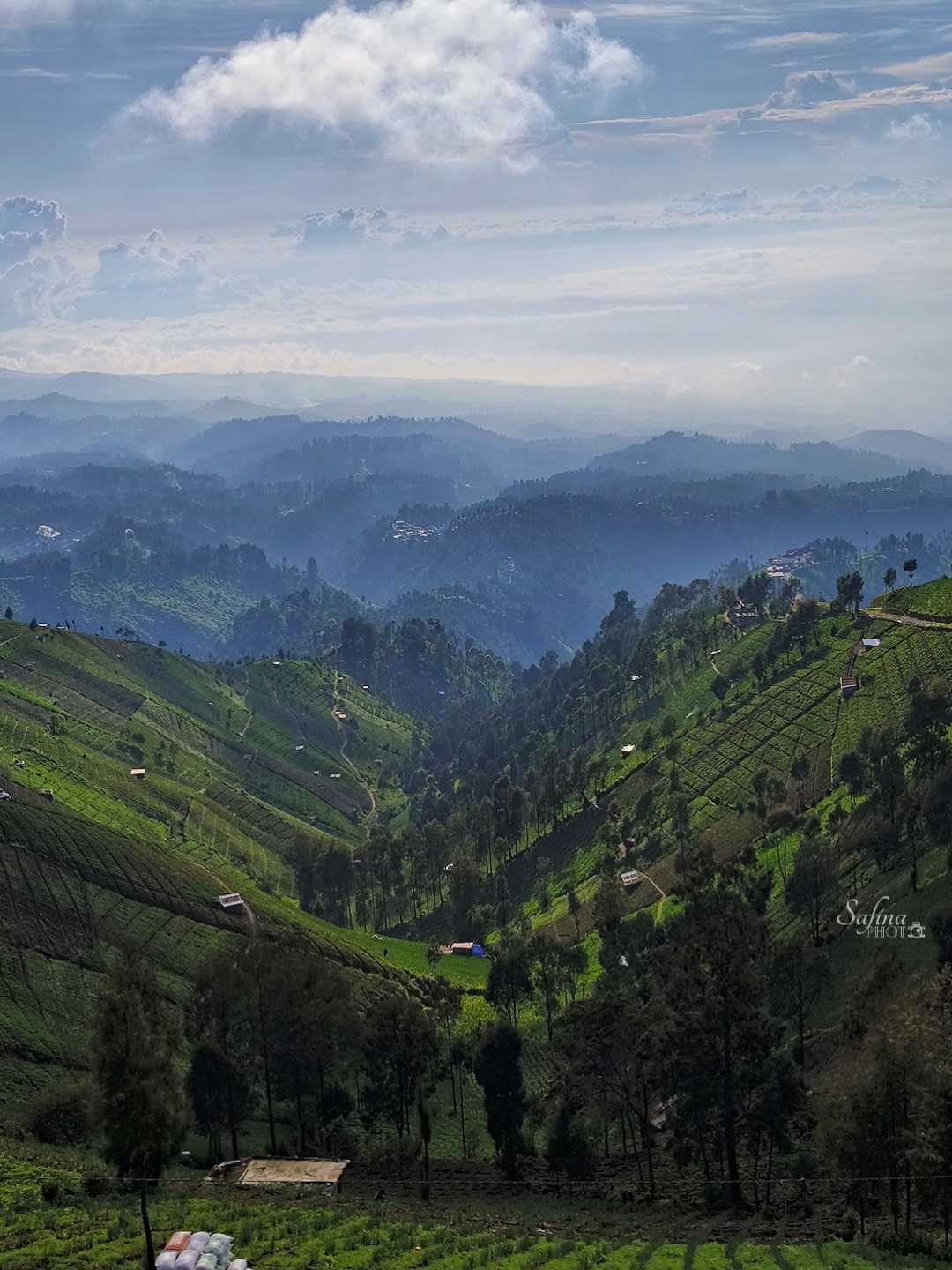 Perbukitan Taman Nasional Bromo Tengger Semeru 