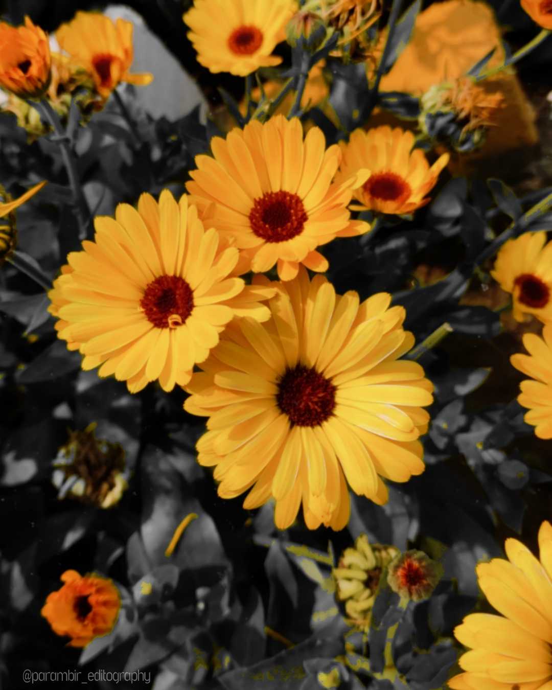 unsplash photography 